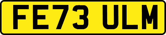FE73ULM