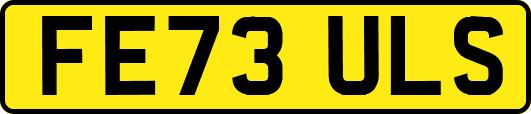 FE73ULS