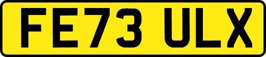 FE73ULX