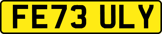 FE73ULY