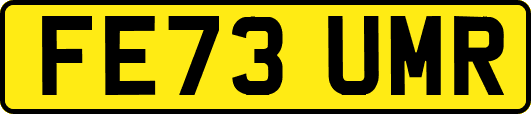 FE73UMR