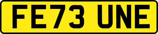 FE73UNE