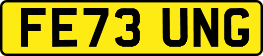 FE73UNG