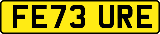 FE73URE