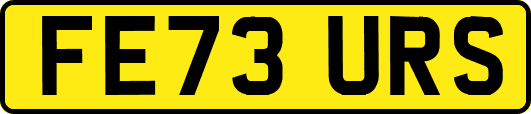 FE73URS