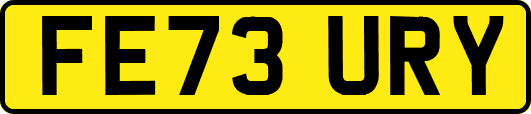 FE73URY