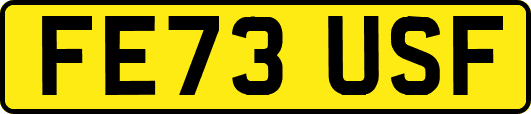 FE73USF
