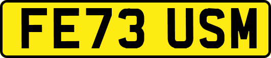FE73USM