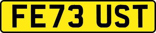FE73UST