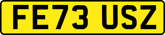 FE73USZ