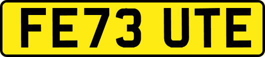 FE73UTE