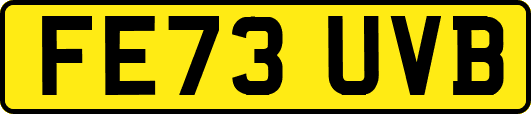 FE73UVB