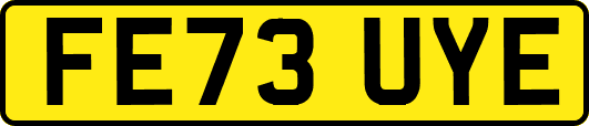 FE73UYE