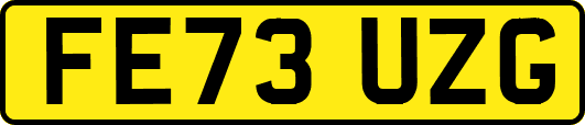 FE73UZG
