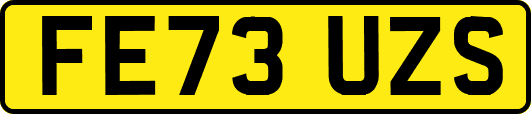 FE73UZS