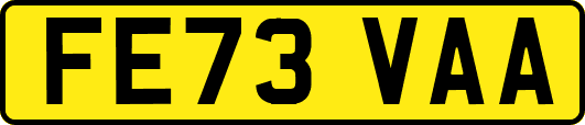 FE73VAA
