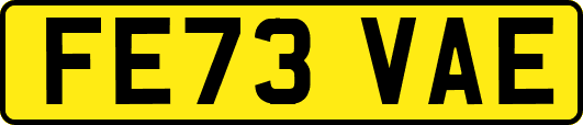FE73VAE