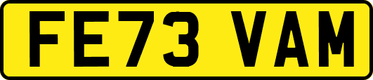 FE73VAM