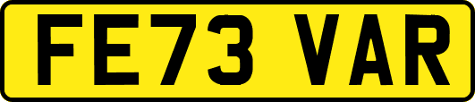 FE73VAR