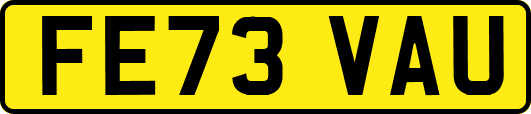 FE73VAU