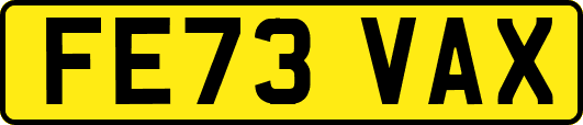 FE73VAX