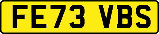 FE73VBS