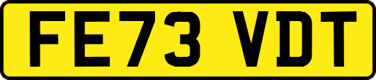 FE73VDT