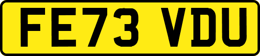 FE73VDU