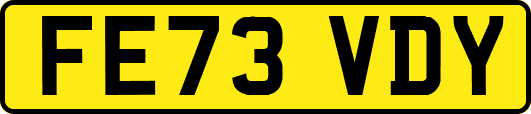 FE73VDY