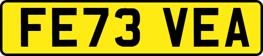 FE73VEA