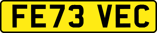 FE73VEC