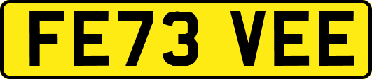 FE73VEE
