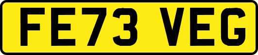 FE73VEG
