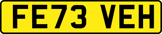 FE73VEH