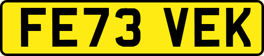 FE73VEK