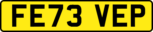 FE73VEP