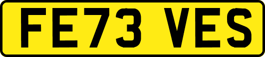 FE73VES