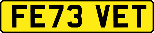 FE73VET