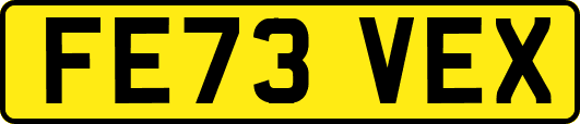 FE73VEX