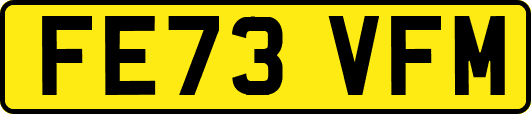FE73VFM