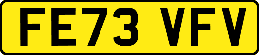 FE73VFV