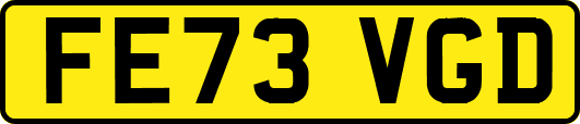 FE73VGD