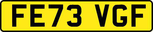FE73VGF
