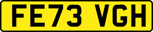 FE73VGH