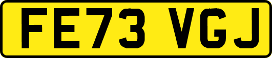 FE73VGJ