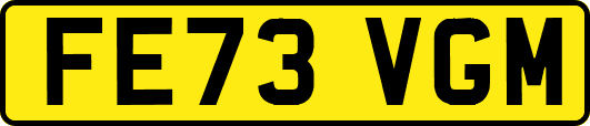 FE73VGM
