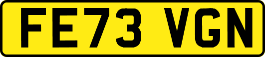FE73VGN