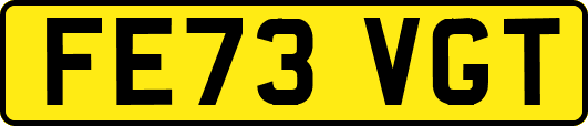 FE73VGT