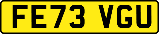 FE73VGU