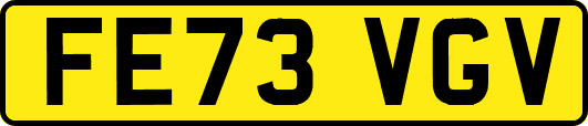 FE73VGV